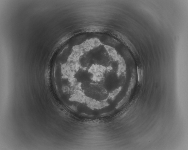 X0000111440675200908101015