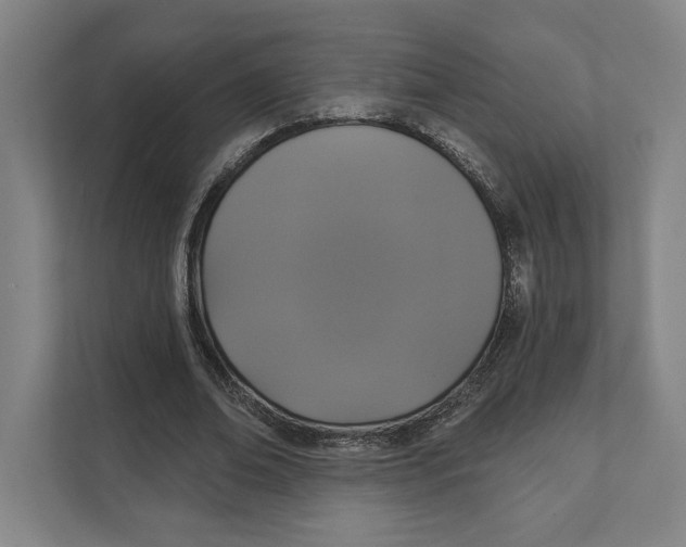 X0000111440678200908101015