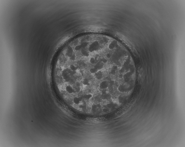 X0000111440679200908101015