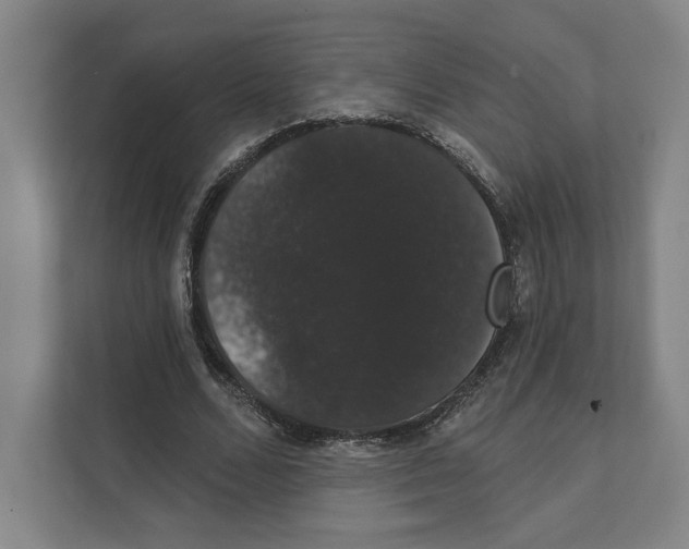 X0000111440680200908101015