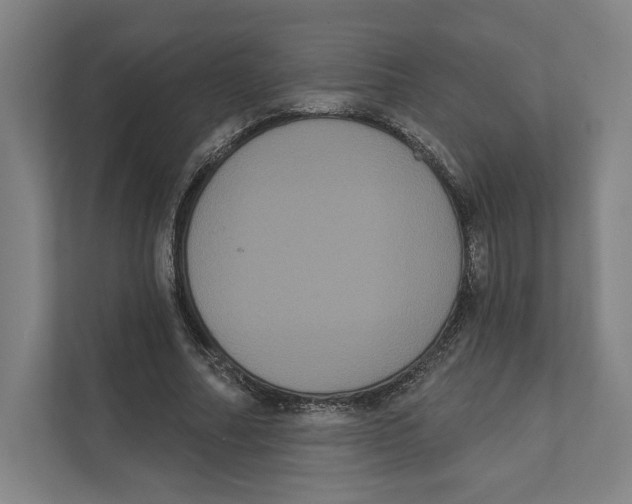 X0000111440682200908101015