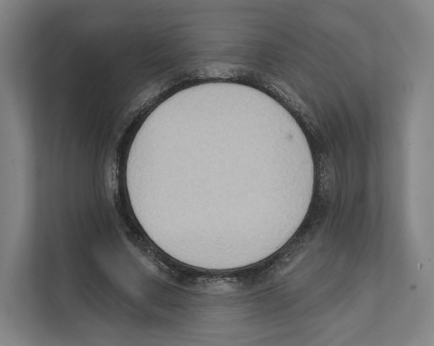 X0000111440683200908101015