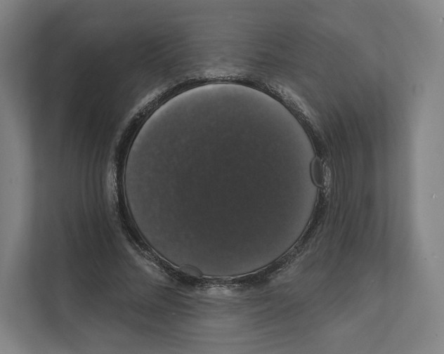 X0000111440684200908101015