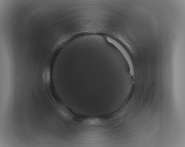 X0000111440685200908101015