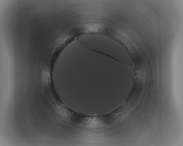 X0000111440688200908101015