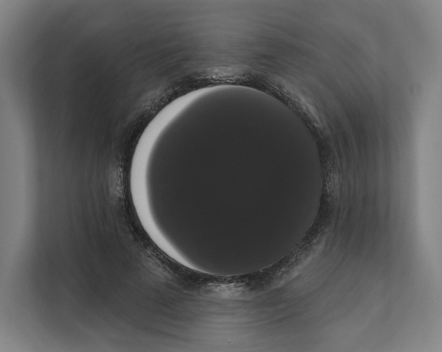 X0000111440689200908101015