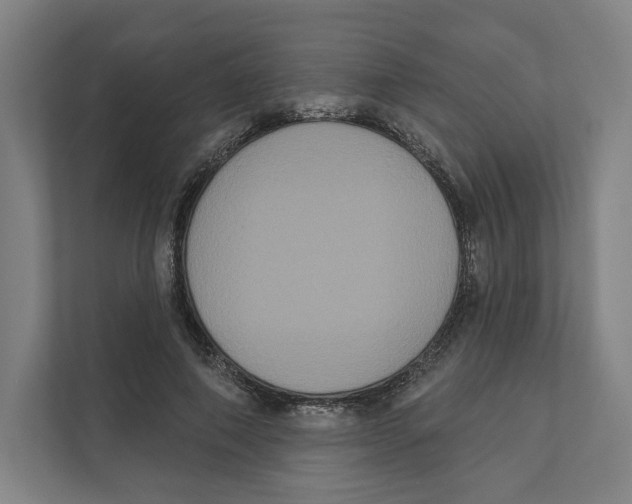 X0000111440690200908101015