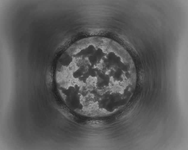 X0000111440691200908101015