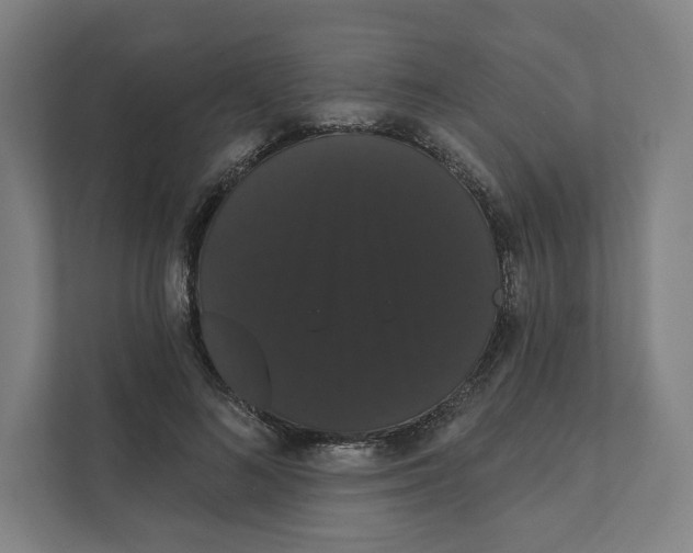 X0000111440692200908101015