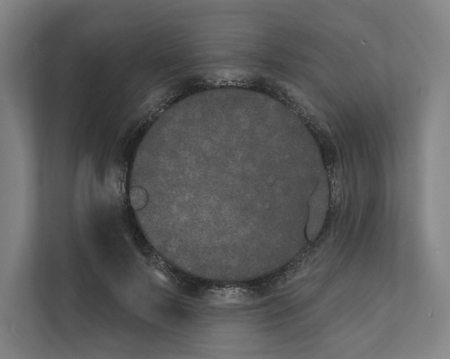 X0000111440695200908101015