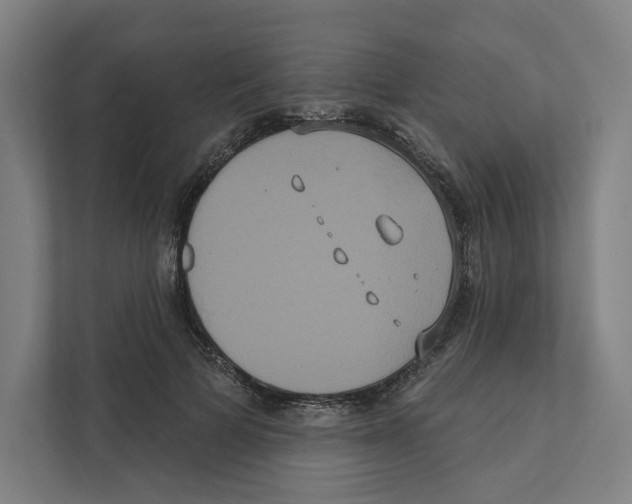 X0000111440697200908101015