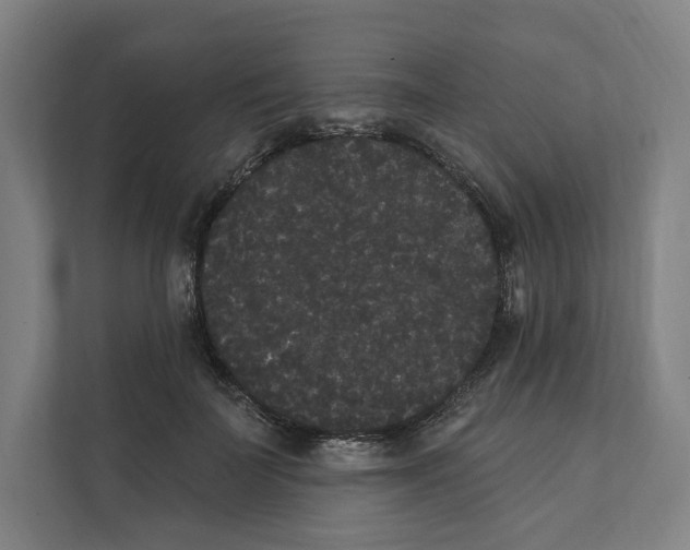 X0000111440699200908101015