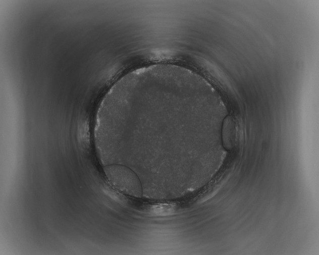 X0000111440700200908101015