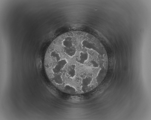 X0000111440703200908101015