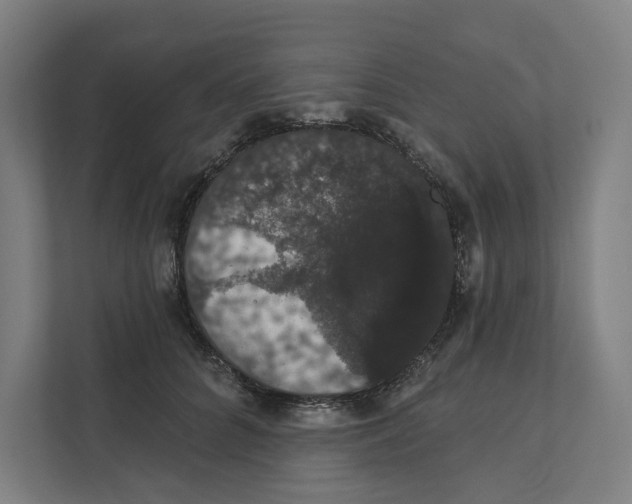 X0000111440704200908101015