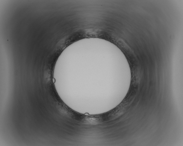 X0000111440706200908101015