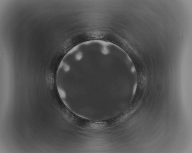 X0000111440707200908101015