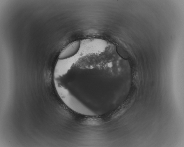 X0000111440708200908101015