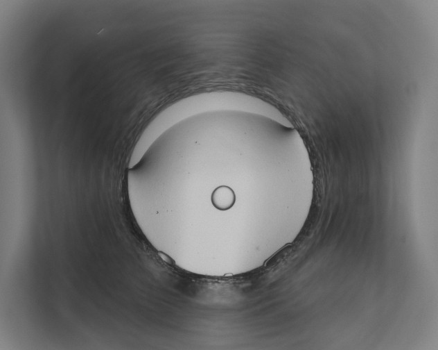 X0000111440709200908101015