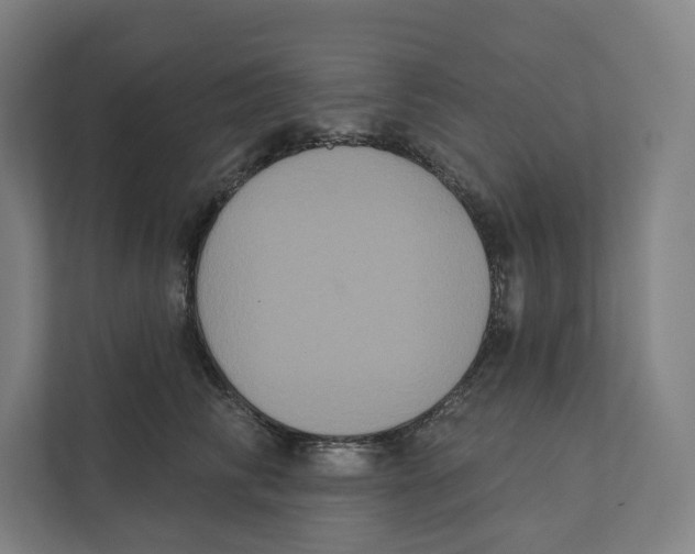 X0000111440710200908101015