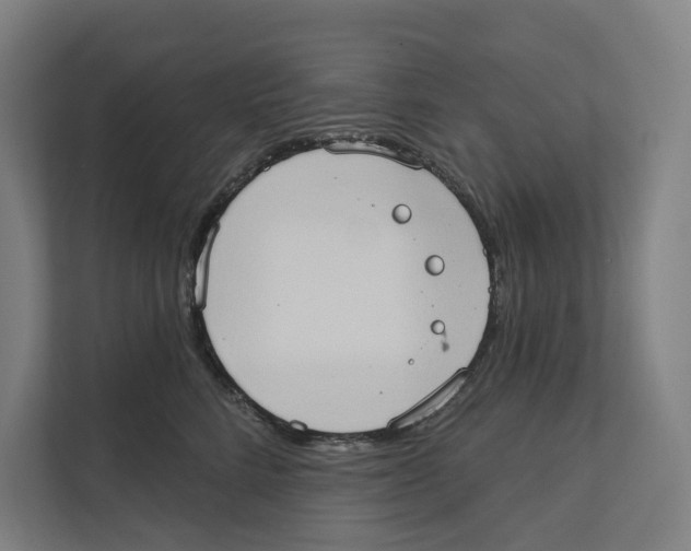 X0000111440712200908101014