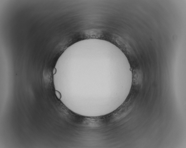 X0000111440713200908101014