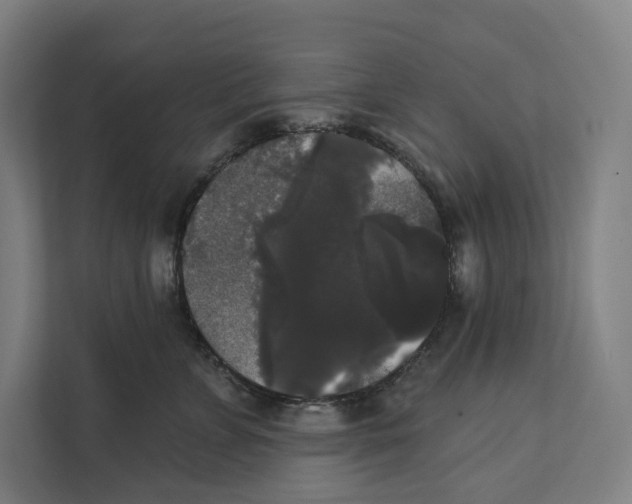 X0000111440715200908101014