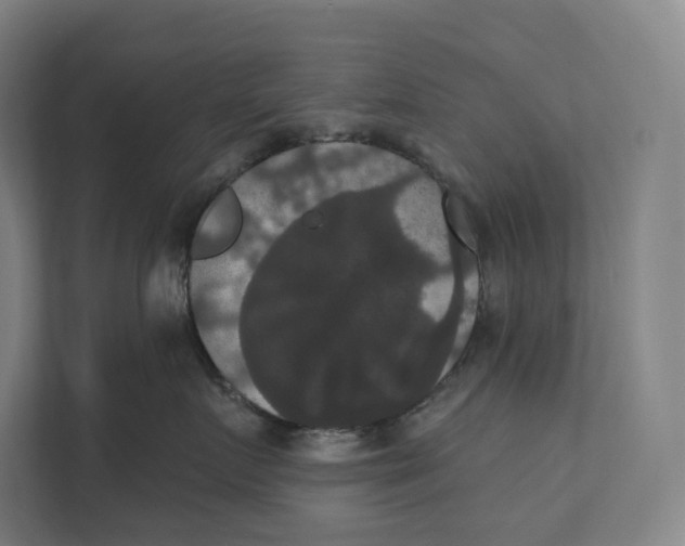 X0000111440719200908101014