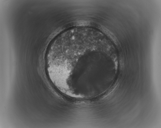 X0000111440721200908101014