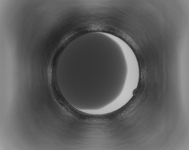 X0000111440722200908101014