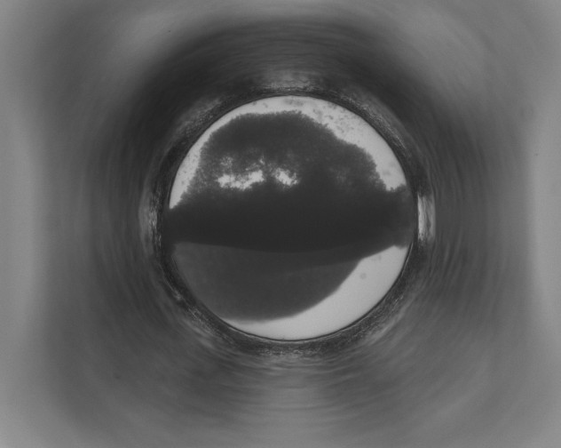 X0000111440723200908101014