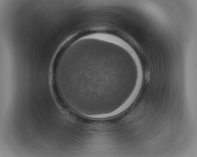 X0000111440724200908101014