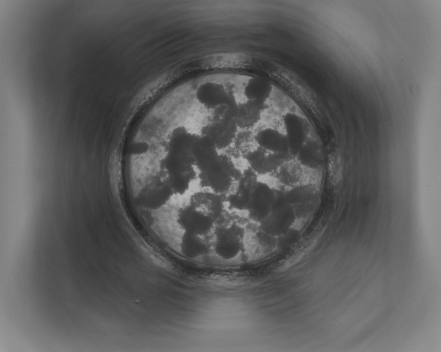 X0000111440725200908101014