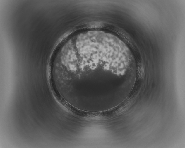 X0000111440726200908101014