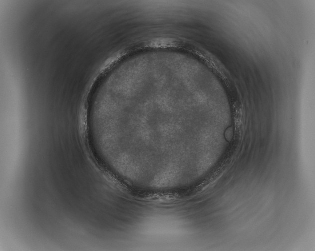 X0000111440727200908101014