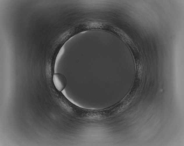 X0000111440729200908101014