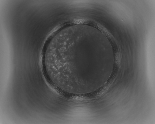 X0000111440730200908101014