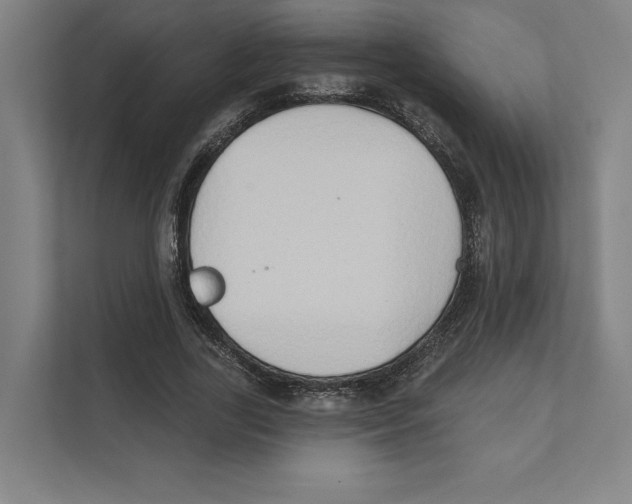 X0000111440731200908101014