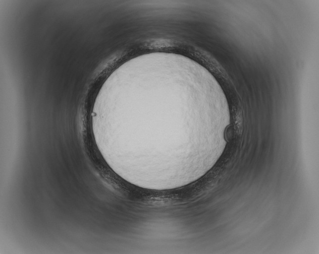 X0000111440732200908101014