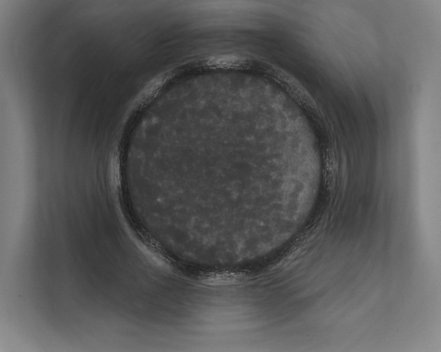 X0000111440734200908101014