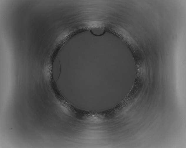 X0000111440736200908101014