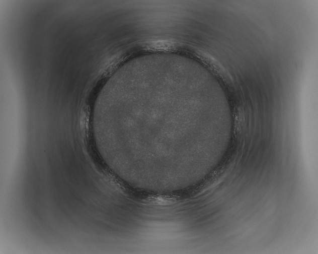 X0000111440739200908101014