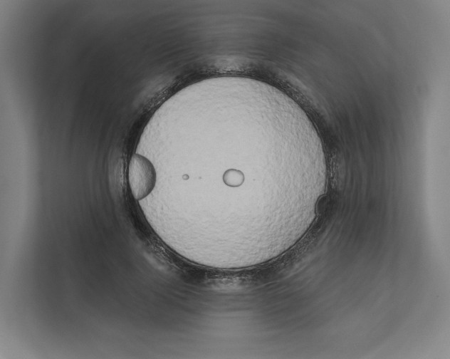 X0000111440740200908101014