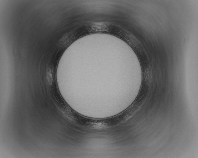 X0000111440741200908101014