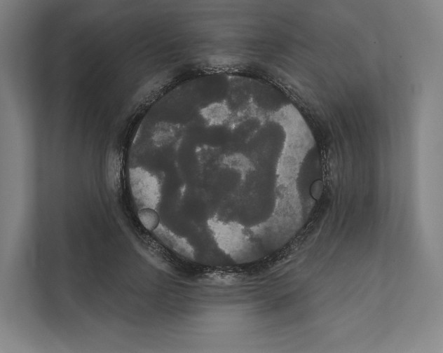 X0000111440742200908101014