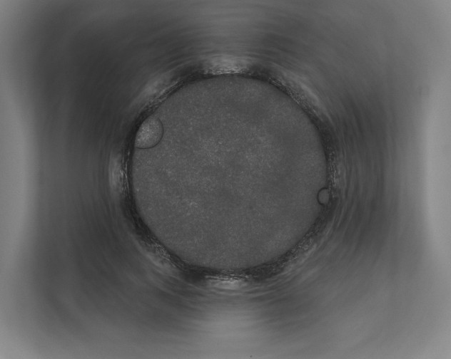 X0000111440743200908101014