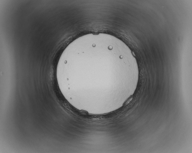 X0000111440744200908101014