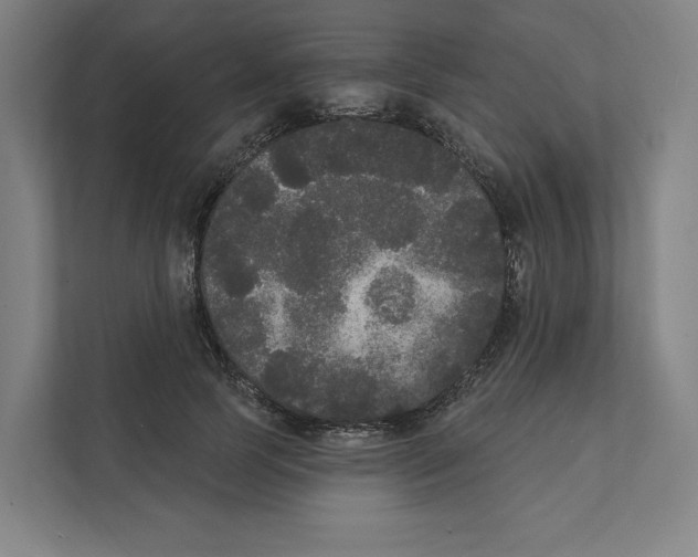 X0000111440745200908101014