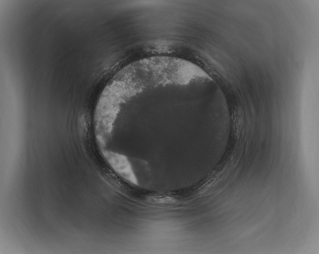 X0000111440747200908101014