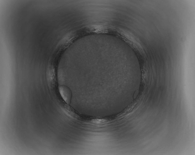 X0000111440748200908101014